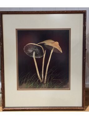 Vtg Mushroom Watercolor Painting Artwork 12"x14" signed John E. Miller '83
